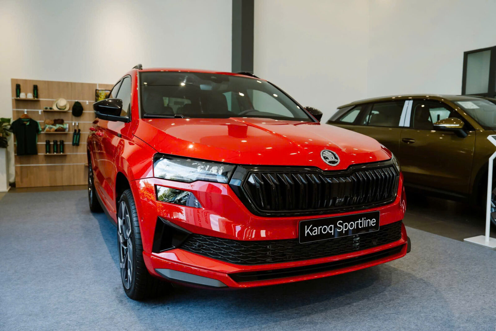 z6667380476614 3cd894e15733db3d1012727e11d8fa21 Skoda Karoq 2025 New