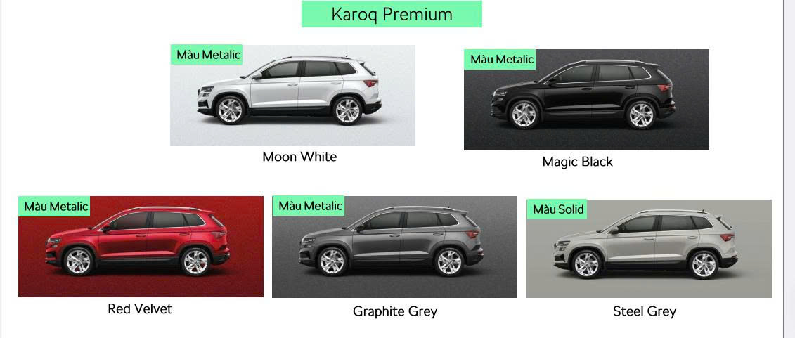 z6667456369983 3001359e6d3bc3a2184eda0860ed28d8 Skoda Karoq 2025 New
